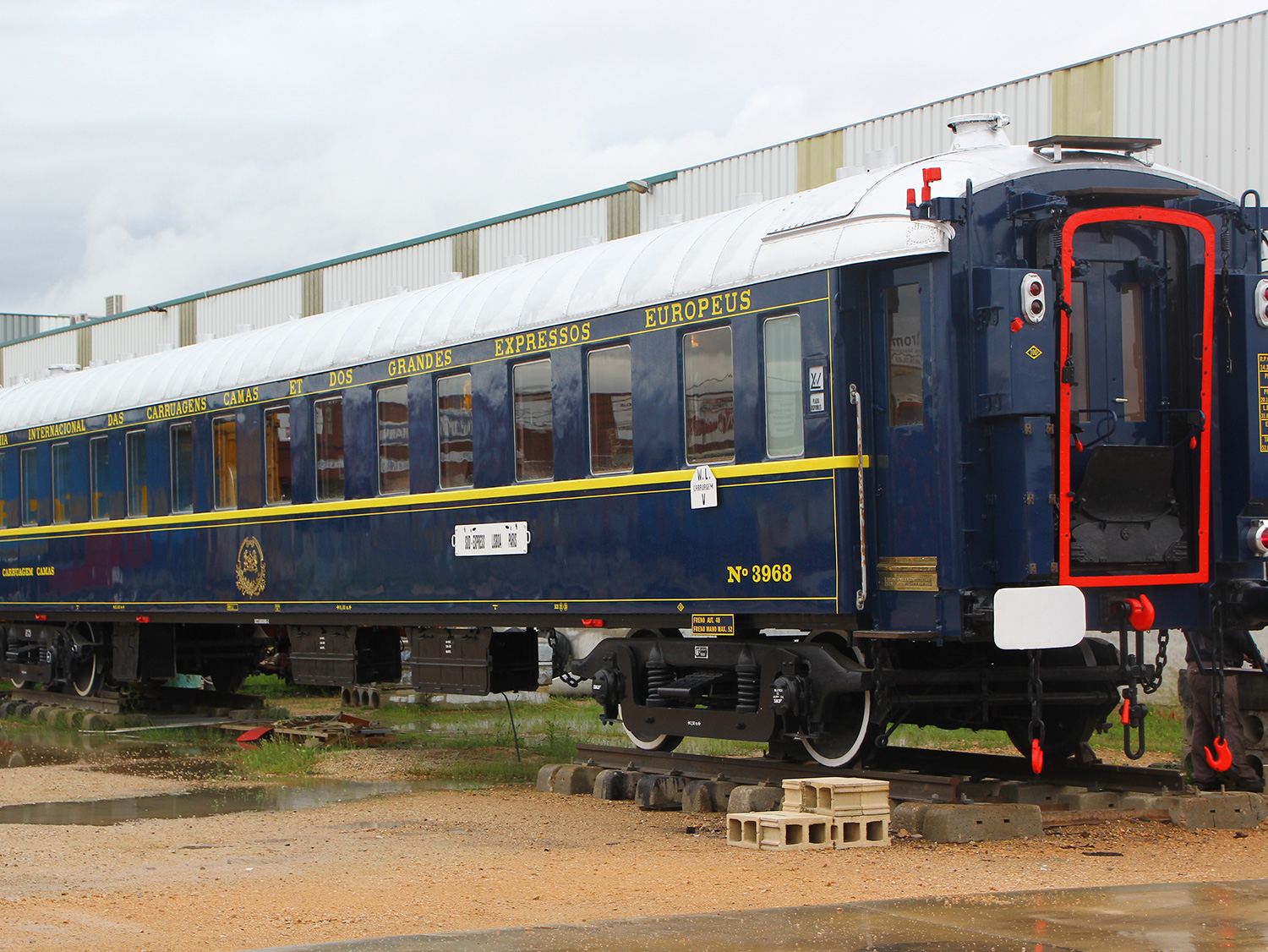 VIVIRAT-Foto-horizontal-WAGON-06